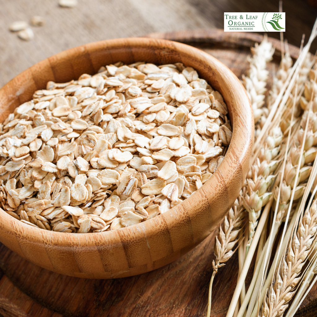 Why Organic Oats Porridge is the Healthiest First Food for Indian Babies & Toddlers