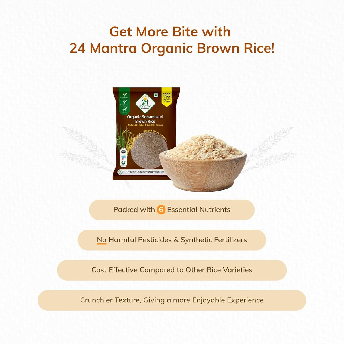 24MANTRA ORGANIC SONAMASURI BROWN RICE 1KG