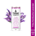 TRIBE KOMBUCHA LEVENDER LOVE CAN 250ML