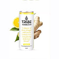 TRIBE KOMBUCHA GINGERADE CAN 250ML