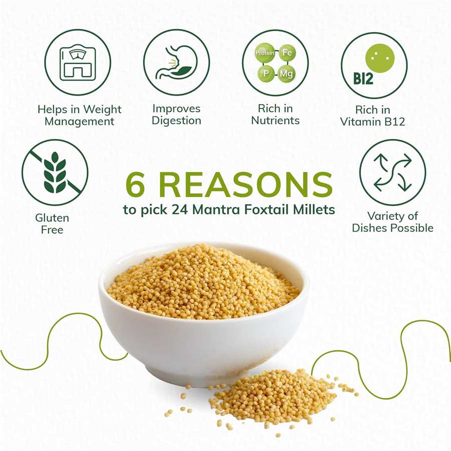 24 MANTRA FOXTAIL MILLET 500GM